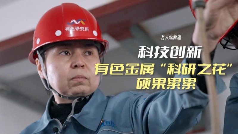 轻量化引擎：企业数字化转型的加速器